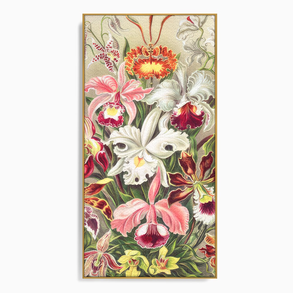 Tablou canvas cu ilustratie botanica cu orhidee multicolore, in rama de aluminiu auriu